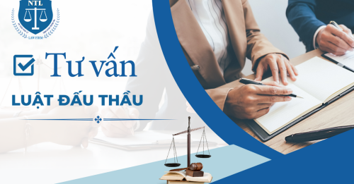 tư vấn luật đấu thầu