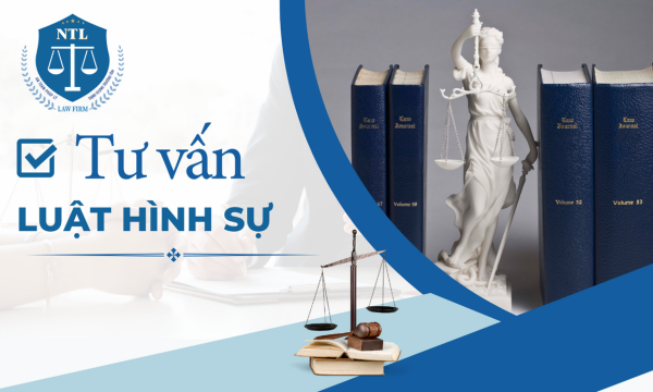 tư vấn luật hình sự