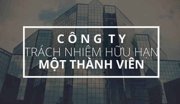 công ty tnhh 1 thành viên là gì