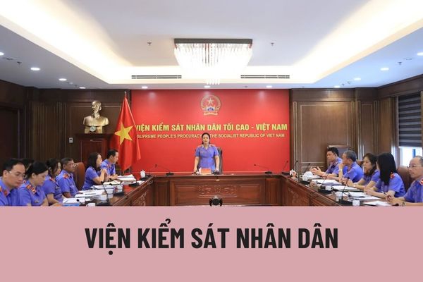 What Is The People's Procuracy of District 7